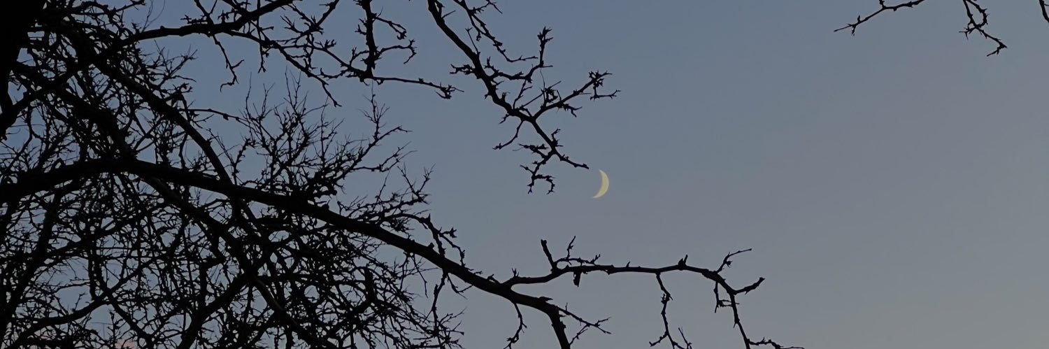 elida_beeman's profile banner image