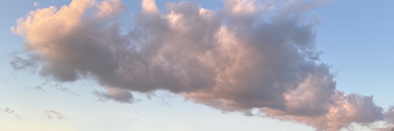 John Potticary banner