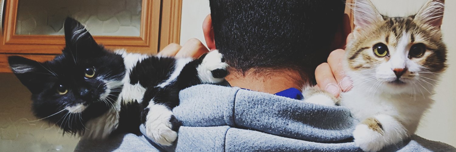 ozmenyldz's profile banner image