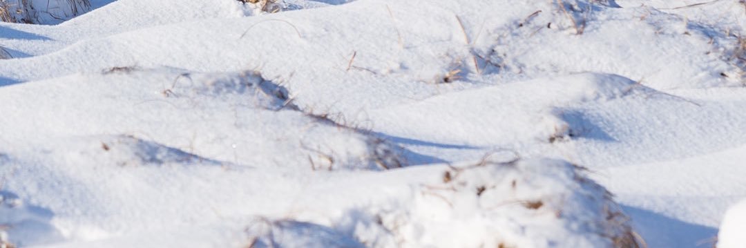 kayoderazaq's profile banner image
