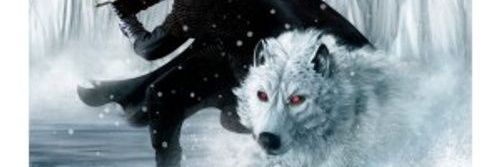 Sereksus banner