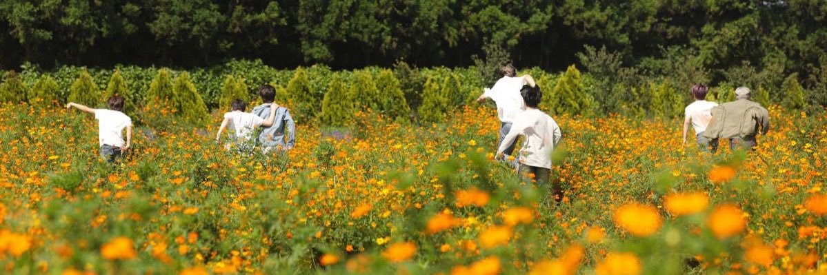 jubz ⊹ ࣪ ˖ banner