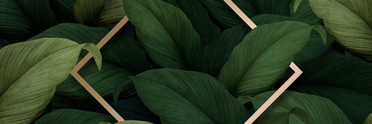 FTomiwar's profile banner image