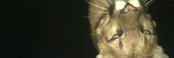 akichy7 Profile Banner