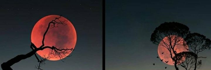 deyaeduf's profile banner image