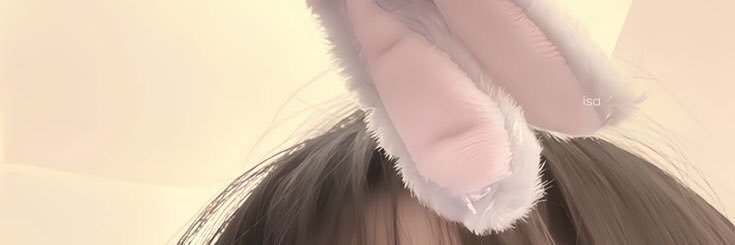 kittyiesh's profile banner image