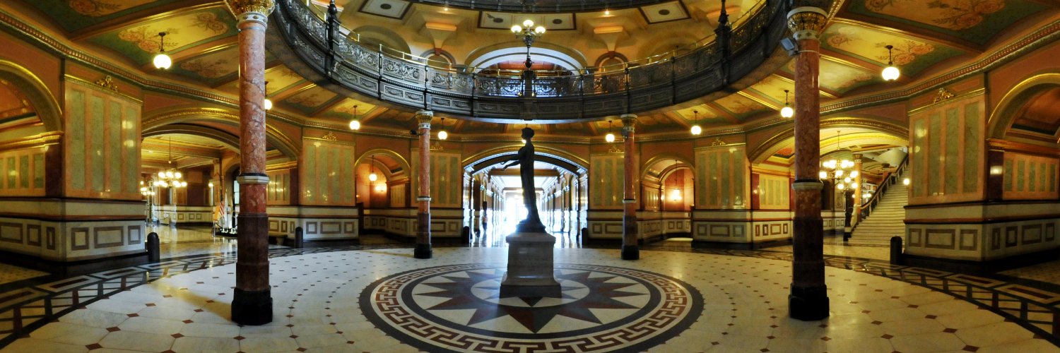 IL Senate Democrats banner