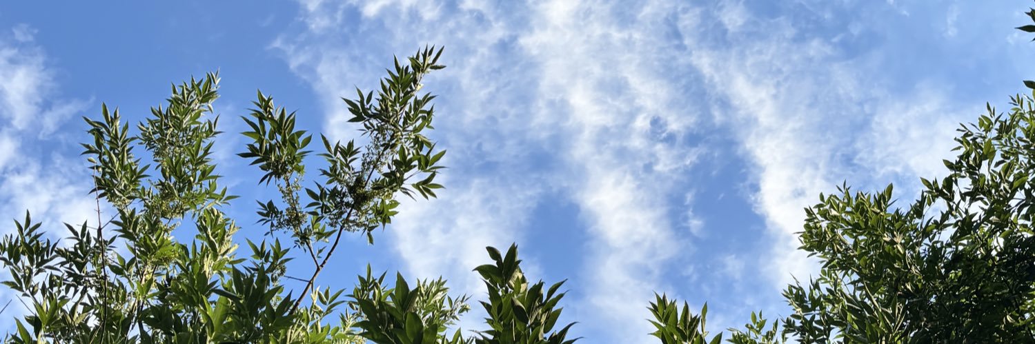 LaraGenoud7's profile banner image