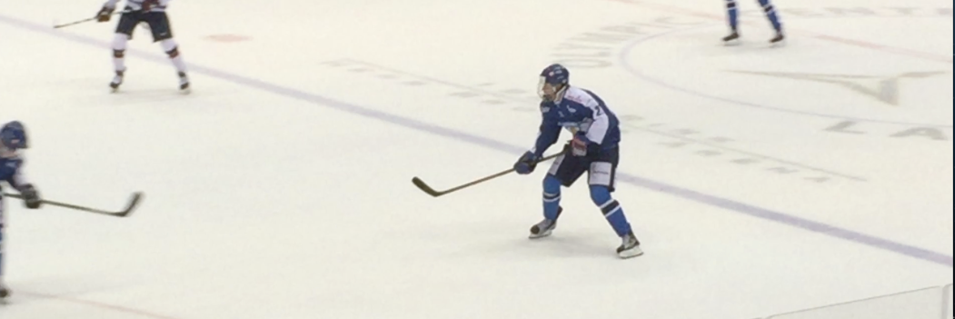 DraftBuzz Hockey banner