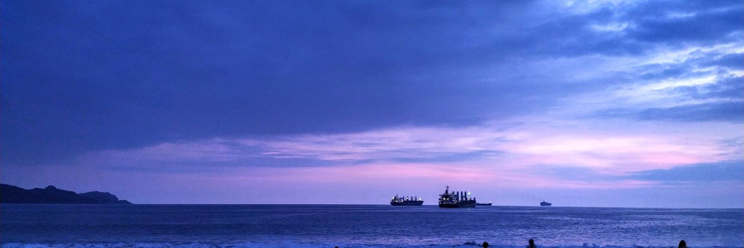 Lisyll's profile banner image