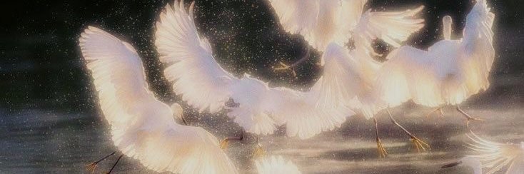 𝓐𝑳𝑭𝑬𝑨 banner