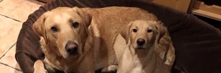 🖖🏼🖖🏼🖖🏼Phil R-A🖖🏼🖖🏼🖖🏼 banner