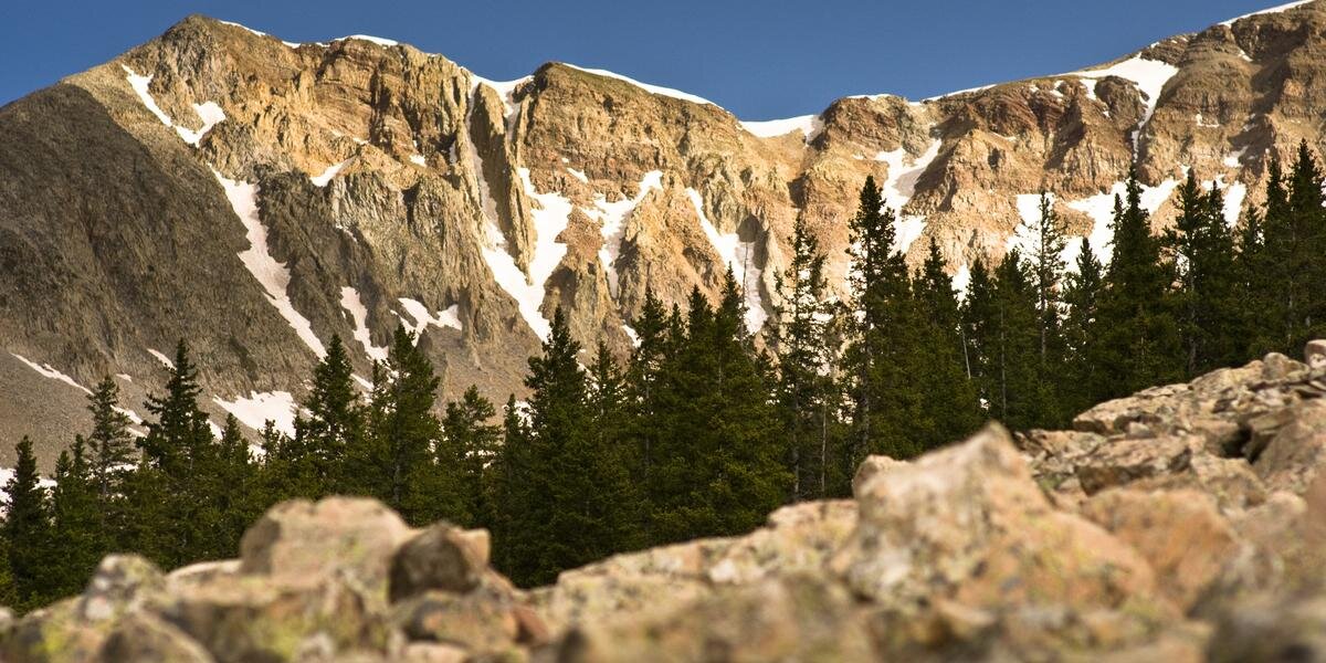 Mad Moose Events banner