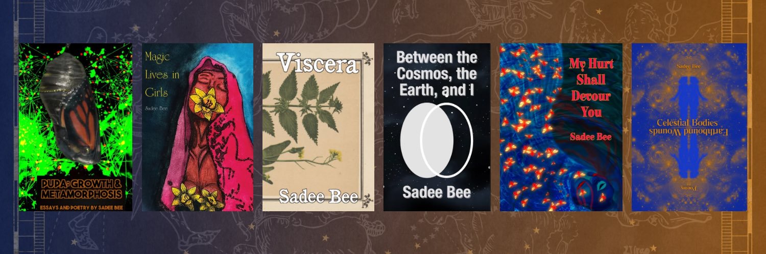 SadeeBee's profile banner image