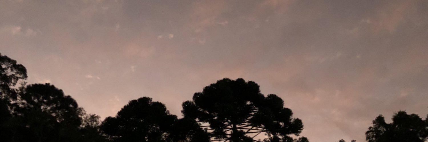acalmaaa's profile banner image
