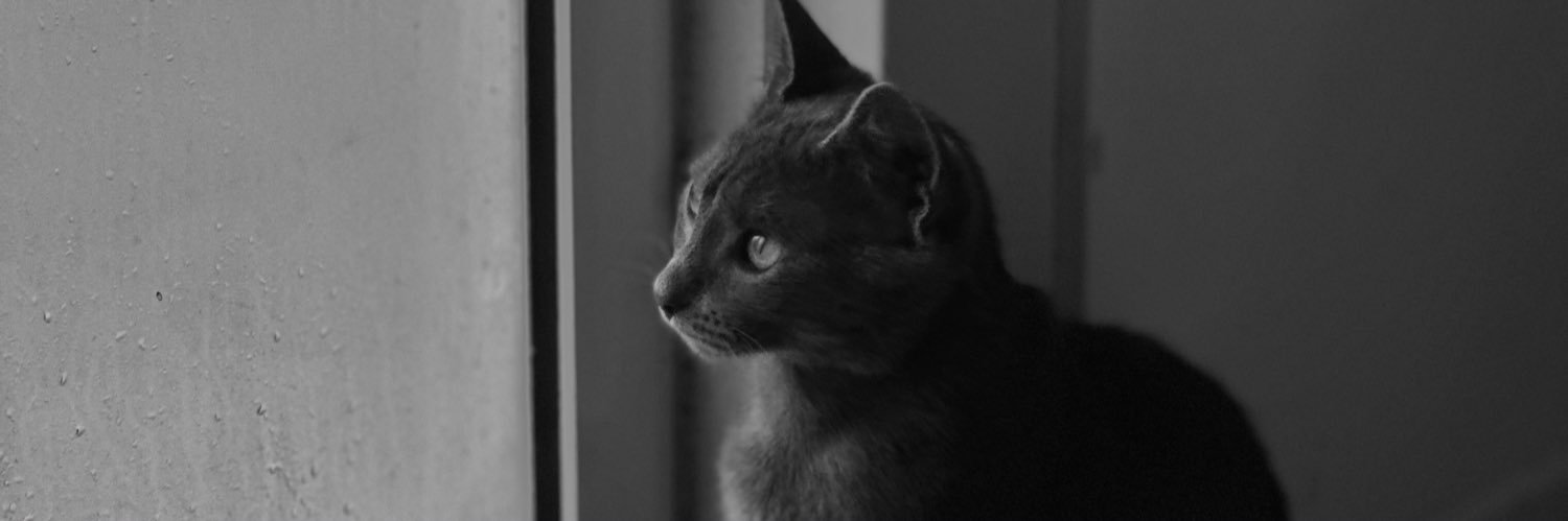 sofiacacereszz's profile banner image