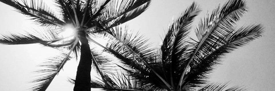 Jordan Whitley banner