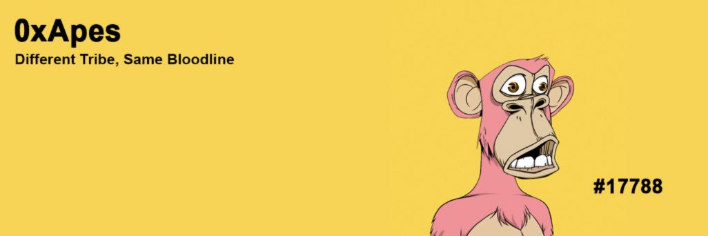 shadilo_'s profile banner image