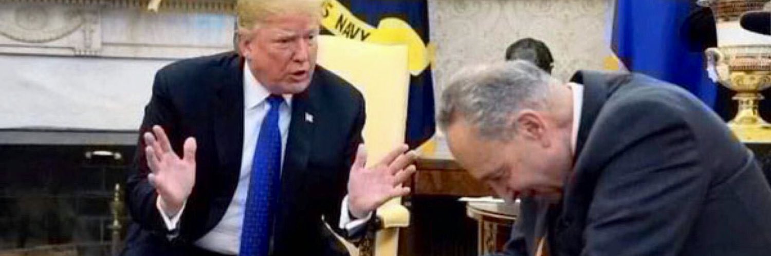 Lindsey Michelle Ⓜ️🅰️G🅰️ 🇺🇸 banner