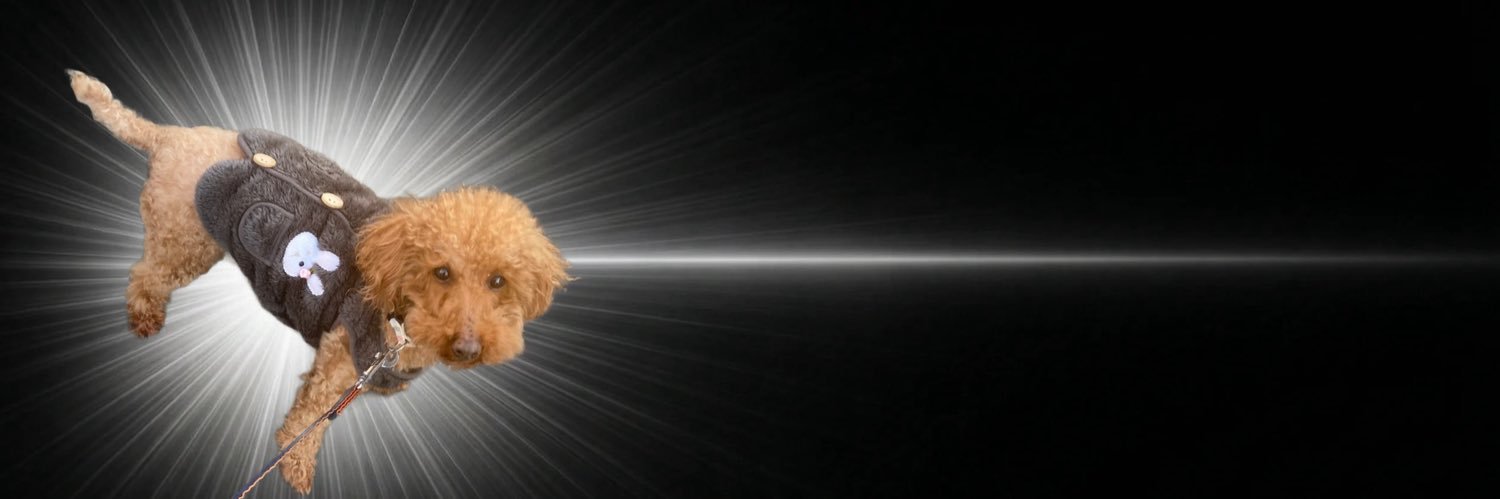 2022_tomtom's profile banner image