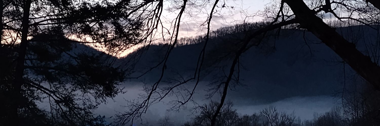 AmericanPamia's profile banner image