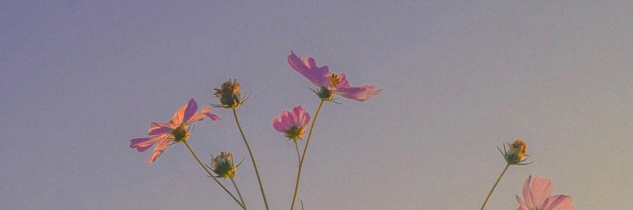 LondonxAddicted's profile banner image