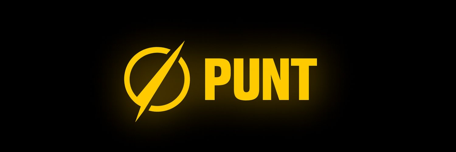 Punt banner