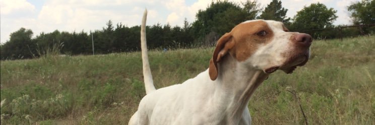 ChanceRJohnson's profile banner image