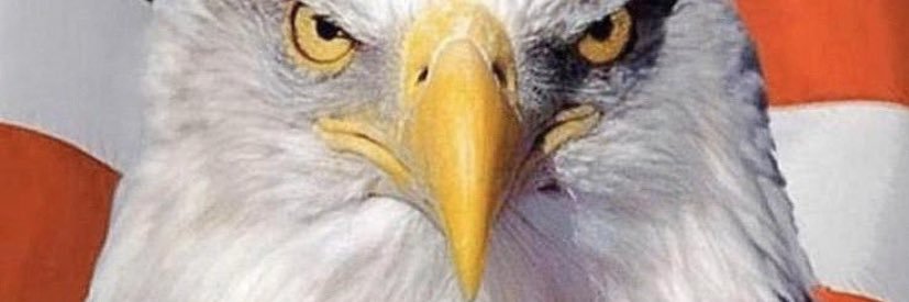 REPUBLICOJORGEB's profile banner image
