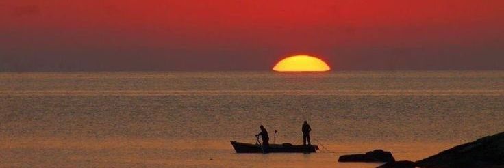 وافي الرقة banner