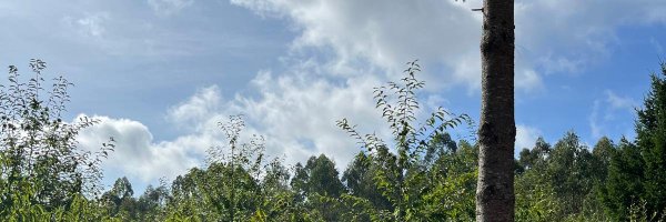 manuelfernan50 Profile Banner