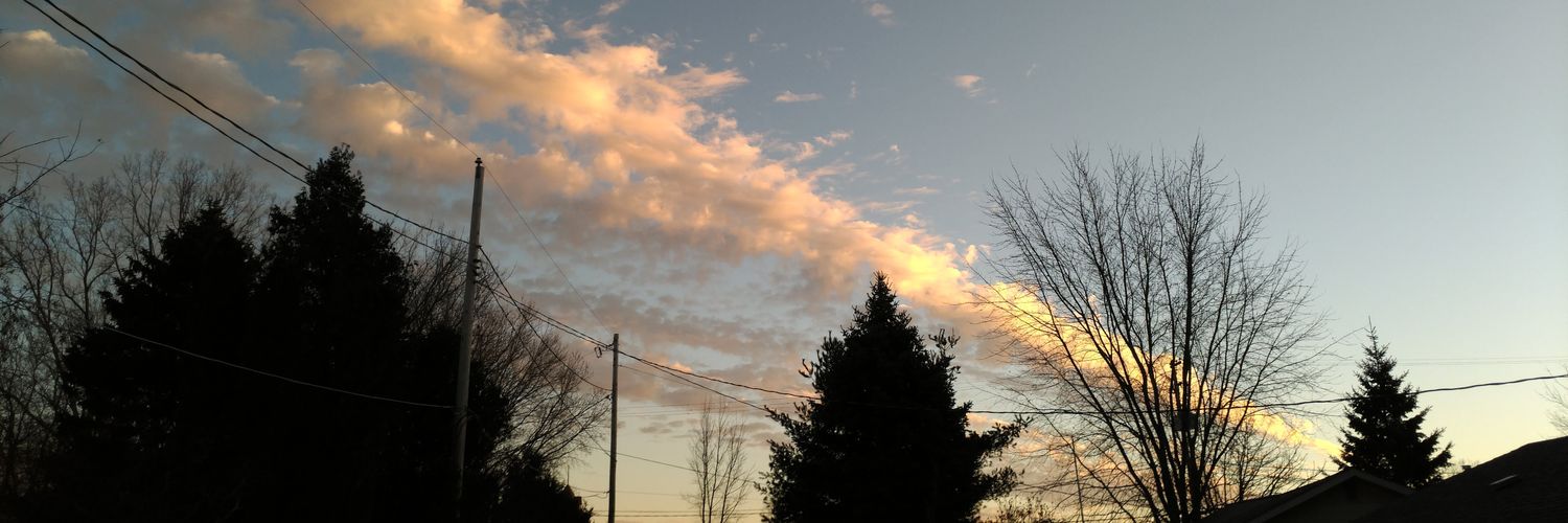 SpraAnt's profile banner image
