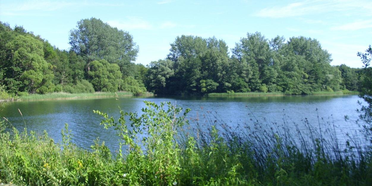 hannah schumacher banner