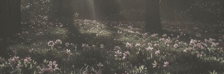 วันจะอี้ banner