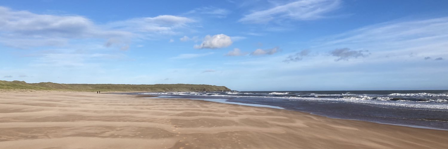 Pamela Houston banner