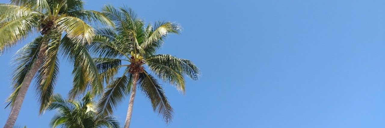 Itlimon's profile banner image