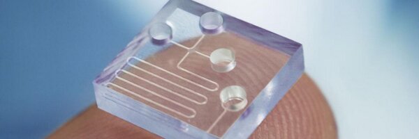 DougSmock71 Profile Banner