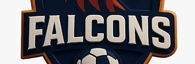 Falcons banner