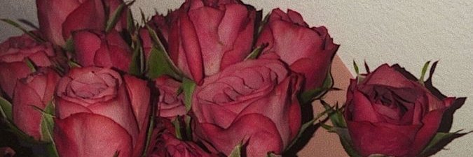 MerryBaloch's profile banner image