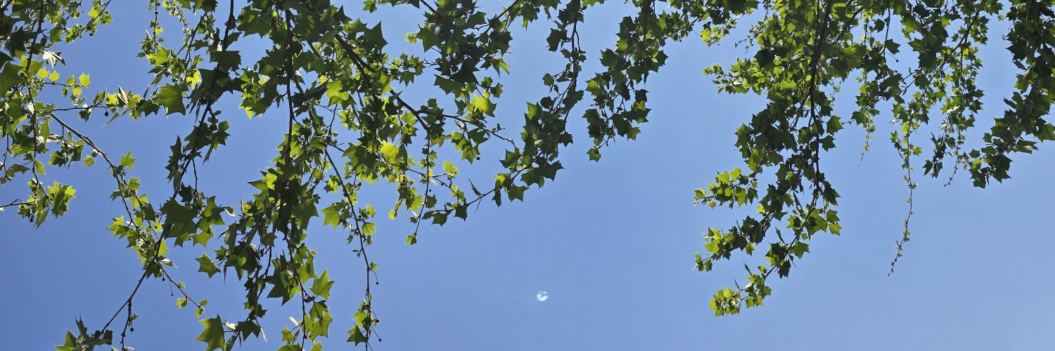 daryglz's profile banner image