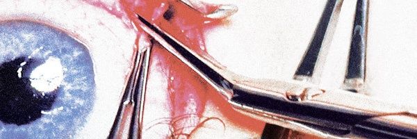 BernieLuggster's profile banner image