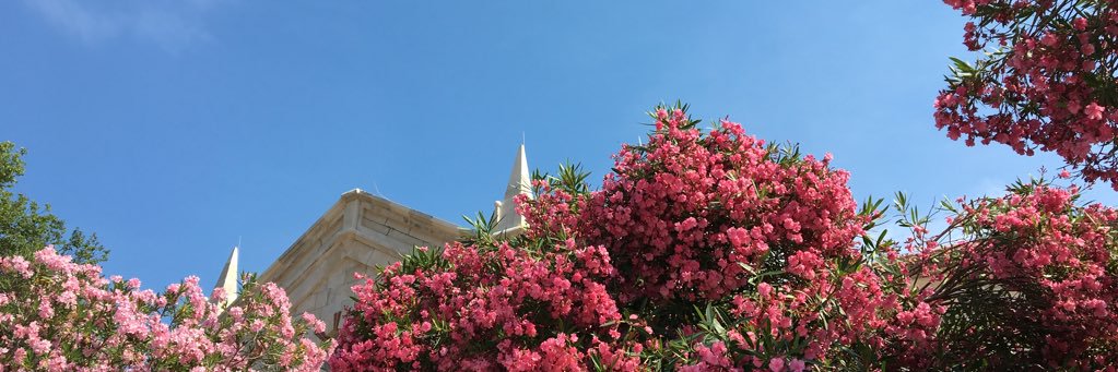 megoslunn's profile banner image