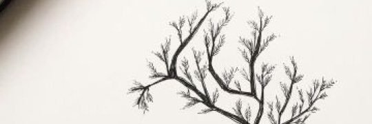 Avu1433's profile banner image