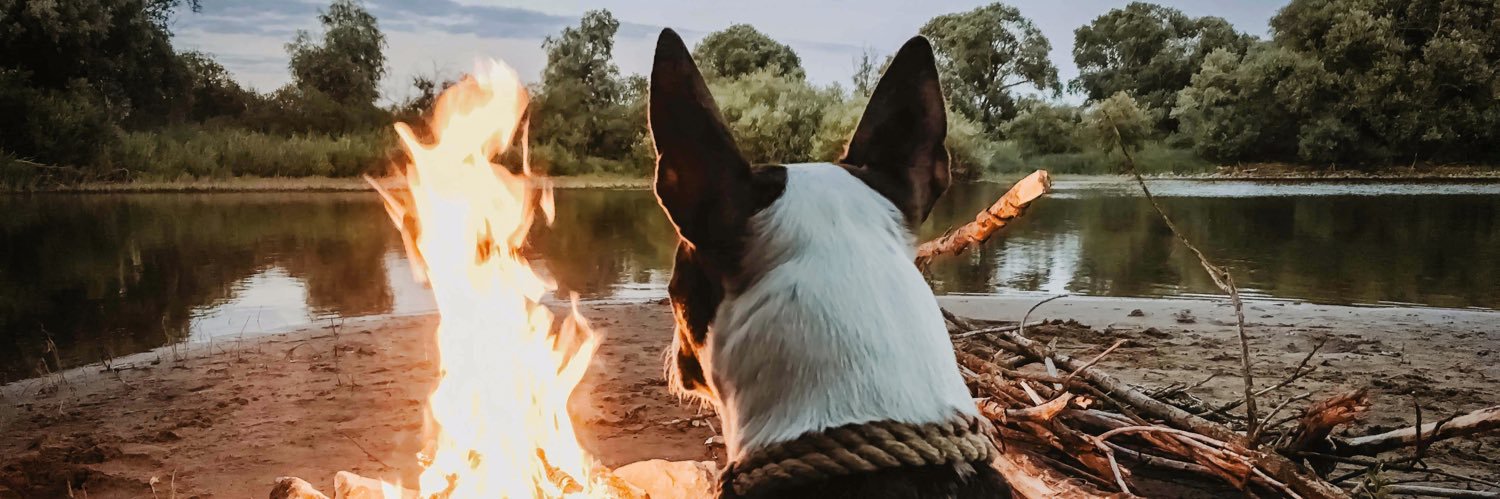 ToplineK9Solns's profile banner image