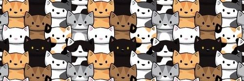 quelbruni's profile banner image
