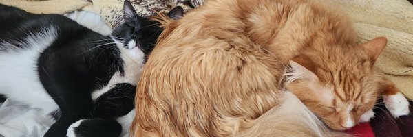 austieJFish Profile Banner