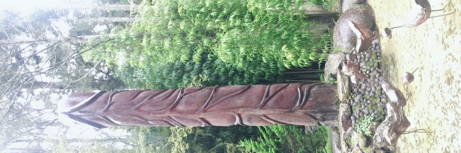 充滿好奇的熊大叔 banner