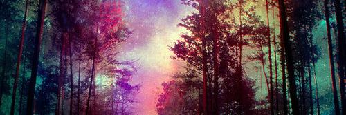 kam_rojas96's profile banner image