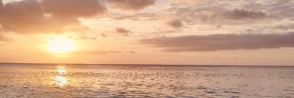 msselaaa Profile Banner