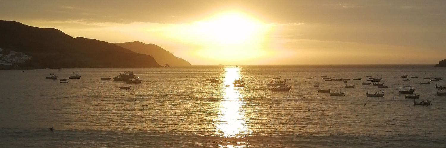 StephDGH's profile banner image